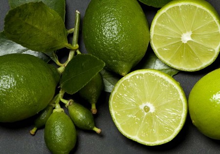 نهال لیموترش جهرم